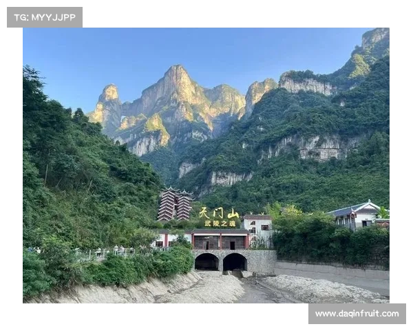 天门旅游全攻略速览掌握实用技巧助你高效畅游无忧体验 天门旅游全攻略速览掌握实用技巧助你高效畅游无忧体验