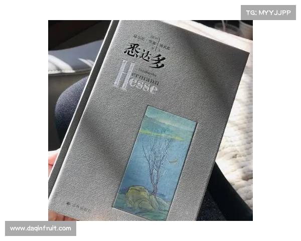 《暗影狂奔：在冲突与压迫中寻找自由与自我救赎的叛逆之路》